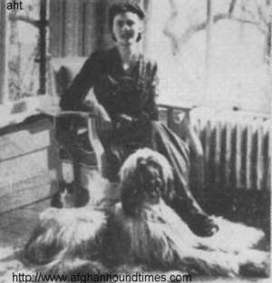 http://www.afghanhoundtimes.com Photo Eva Gudgeon Birchwood Afghan Hounds Canada