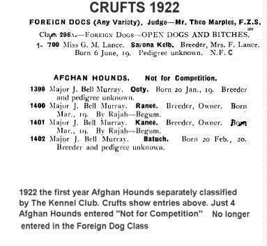 Early Afghan Hounds Crufts Entry 1922