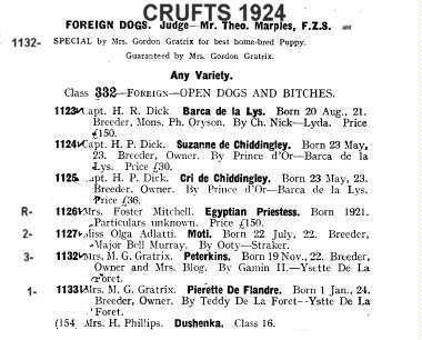 Early Afghan Hounds Crufts Entry 1924 and Moti