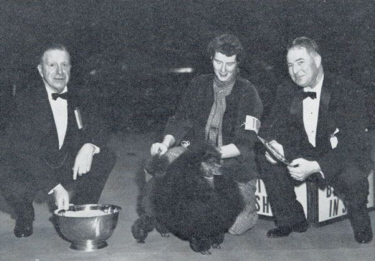 http://www.afghanhoundtimes.com PHOTO Clarence Dillons (Dunwalk) min poodle Fontclair Festoon, BIS WKC 1959 handled by Anne Rogers Clark