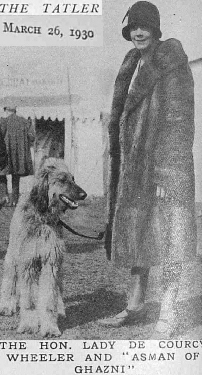 http://www.afghanhoundtimes.com Ireland breed history. Lady de Courcey Wheeler and Ir Ch Asman Of Ghazni 1930