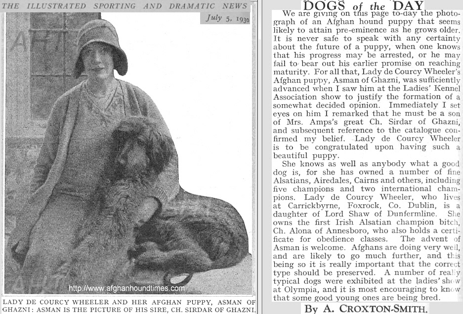 http://www.afghanhoundtimes.com Ireland breed history Asman Of Ghazni and Lady de Courcey Wheeler July 1930