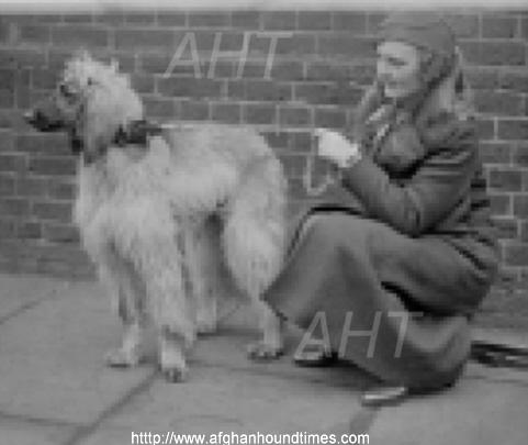 http://www.afghanhoundtimes.com Int Ch Zandi Of Enriallic with owner Mrs D Cronin at Crufts 1934