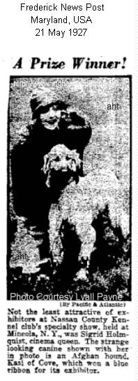 http://www.afghanhoundtimes.com Photo Kasi Of Cove 1926