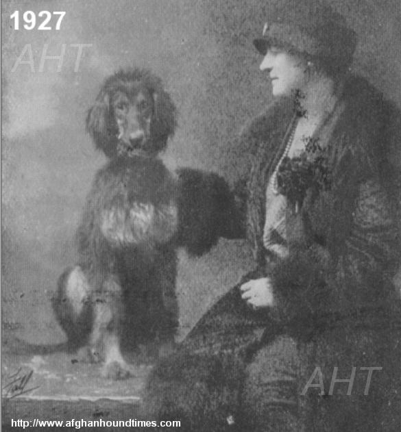 http://www.afghanhoundtimes.com Photo - Phyllis Robson with her Ch Asri Havid Of Ghazni