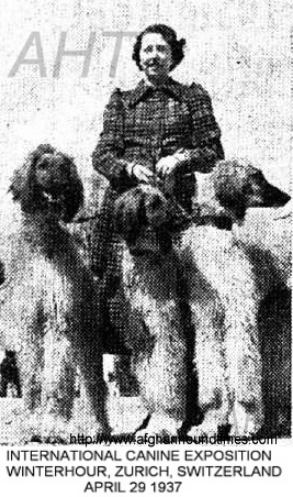 http://www.afghanhoundtimes.com PHOTO Switzerland Afghan hounds 1937