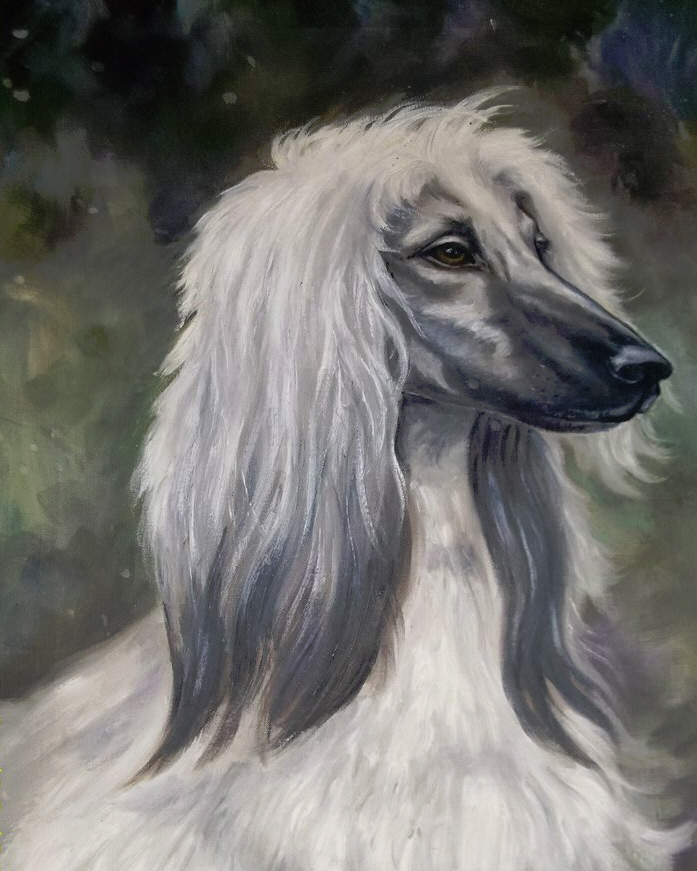 http://www.afghanhoundtimes.com Afghan Hound Art Taejon of Crown Crest by George Finch