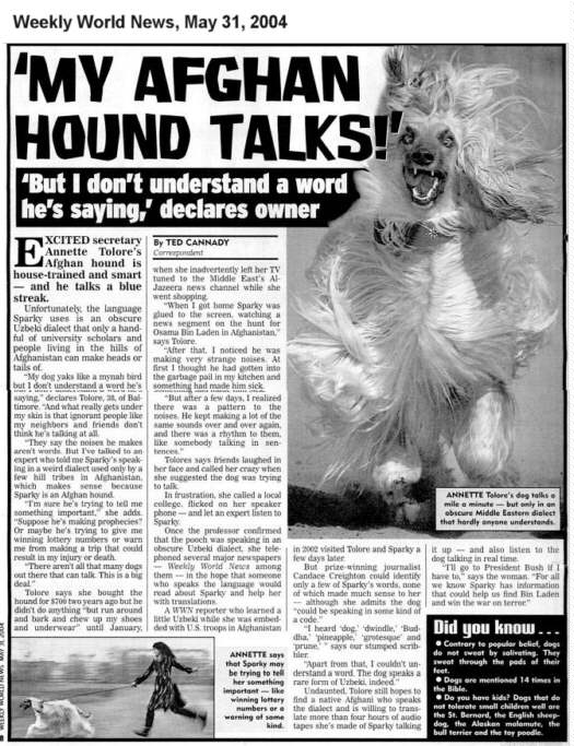 Anette Tolore's Talking Afghan Hound
