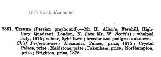 Early Afghan Hounds -  Tierma 1887