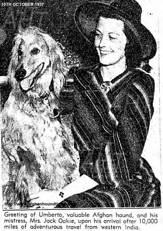 http://www.afghanhoundtimes.com UMBERTO PHORO arrival in usa 1937
