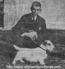 http://www.afghanhoundtimes.com PHOTO Bayard Warren Barberryhill Afghan hounds