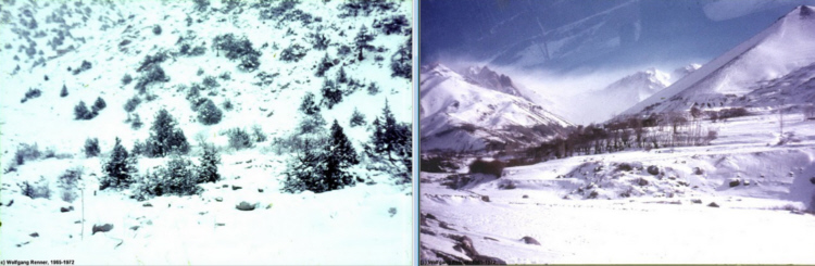 http://www.afghanhoundtimes.com PHOTO The area around Kabul,,1965